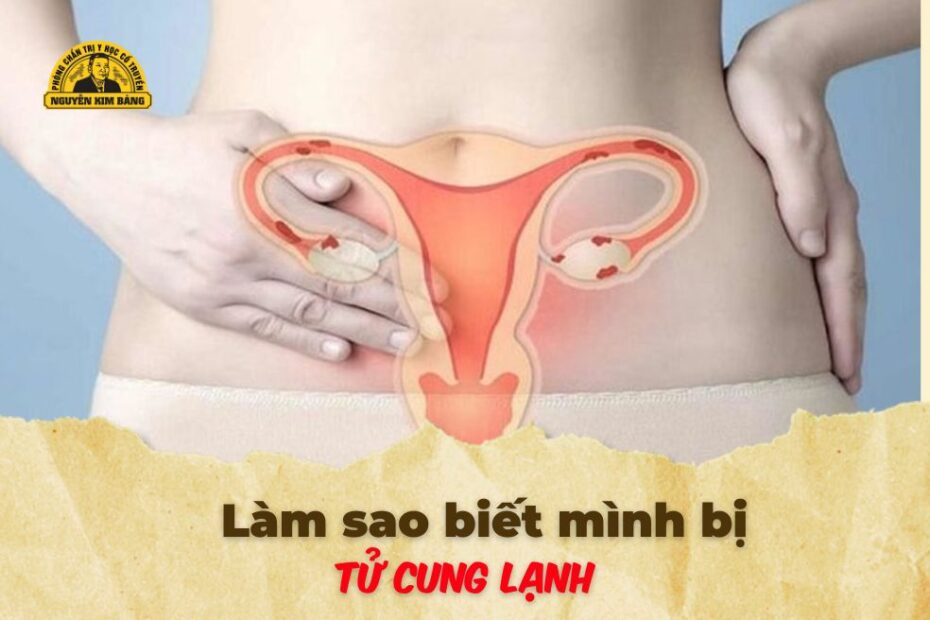 Làm Sao Biết Mình Bị Tử Cung Lạnh? Cách chữa trị theo Đông Y
