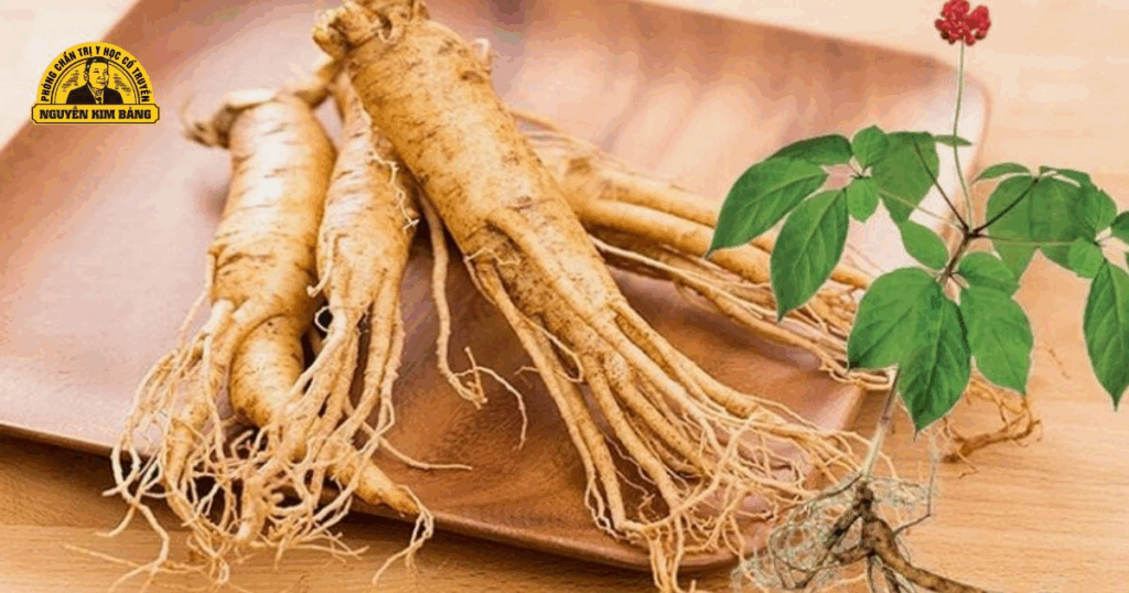 nhan-sam-dai-bo-nguyen-khi-cuong-kien-tinh-khi