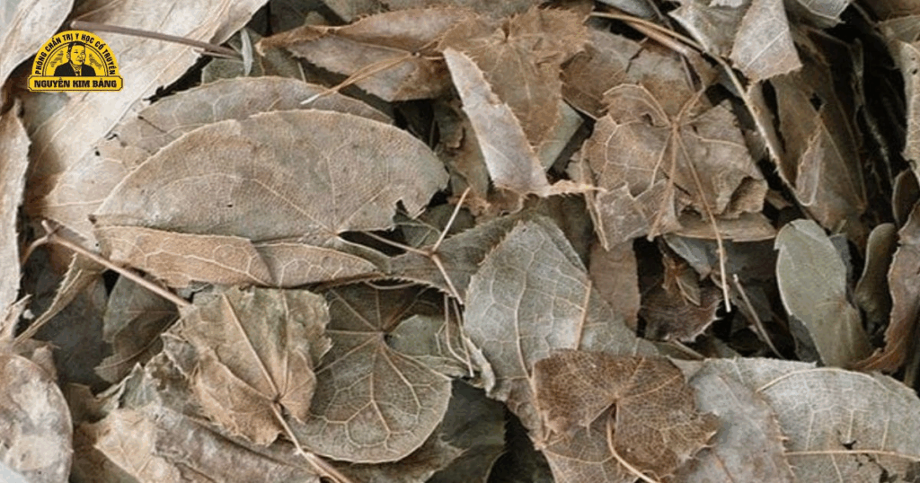 dam-duong-hoac-trang-duong-manh-gan-cot