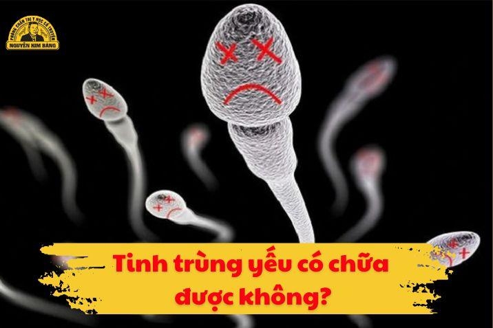 Tinh trùng yếu có chữa được không?
