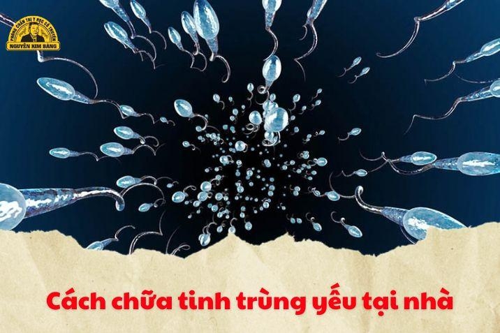 Cách chữa tinh trùng yếu tại nhà an toàn, dễ thực hiện