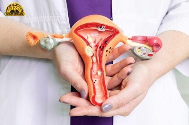 Các can thiệp Y khoa khác (Chỉ dùng khi có chỉ định của bác sĩ chuyên môn)
