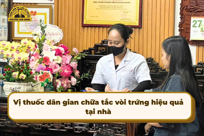 Vị thuốc dân gian chữa tắc vòi trứng hiệu quả tại nhà
